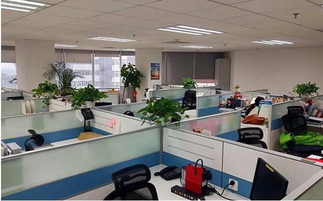 办公室摆放哪些摆件的风水好