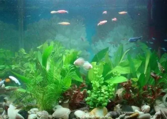 万不可滥用风水化煞工具