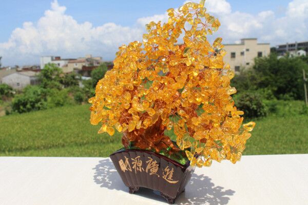 店里摆放什么招财