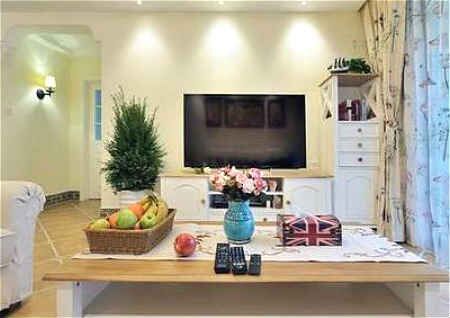 电视旁的风水植物