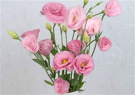 风水摆件：家庭摆花风水