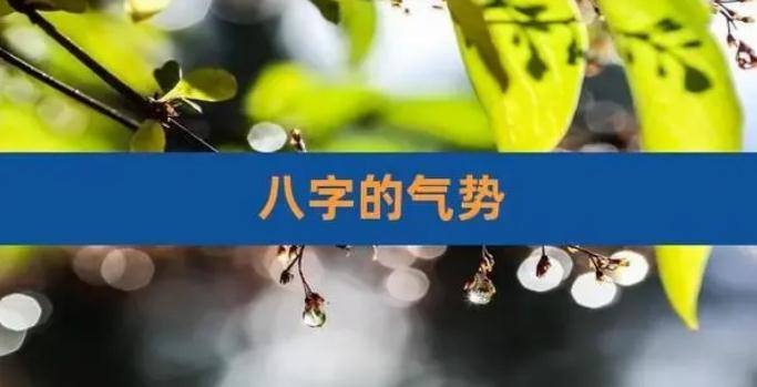 看八字的首要步骤，如何观“气势”