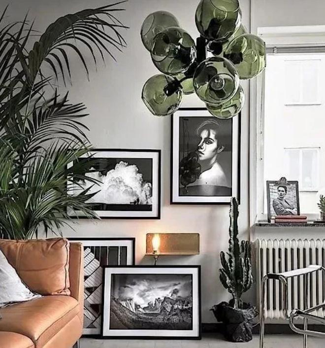 绿植也会影响风水 客厅植物摆放禁忌