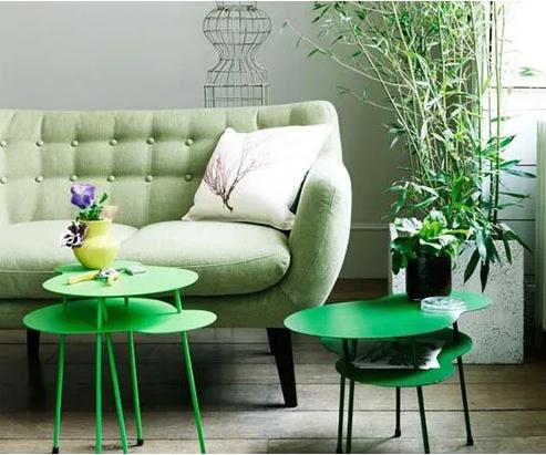 客厅的盆栽千万不要随意摆放，摆放禁忌不得不看