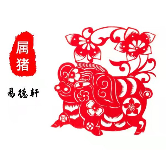 生肖属猪人今日运势运程财运吉凶（2024年7月19日）详解查询