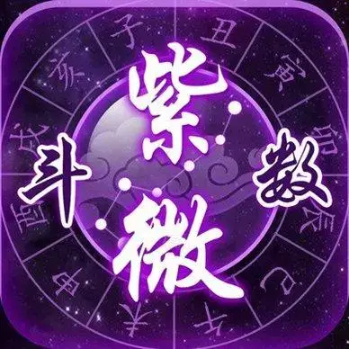 紫微看财运，简单的命例！