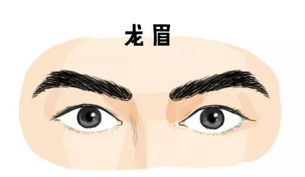 眉毛浓的男生在生活中有何影响?