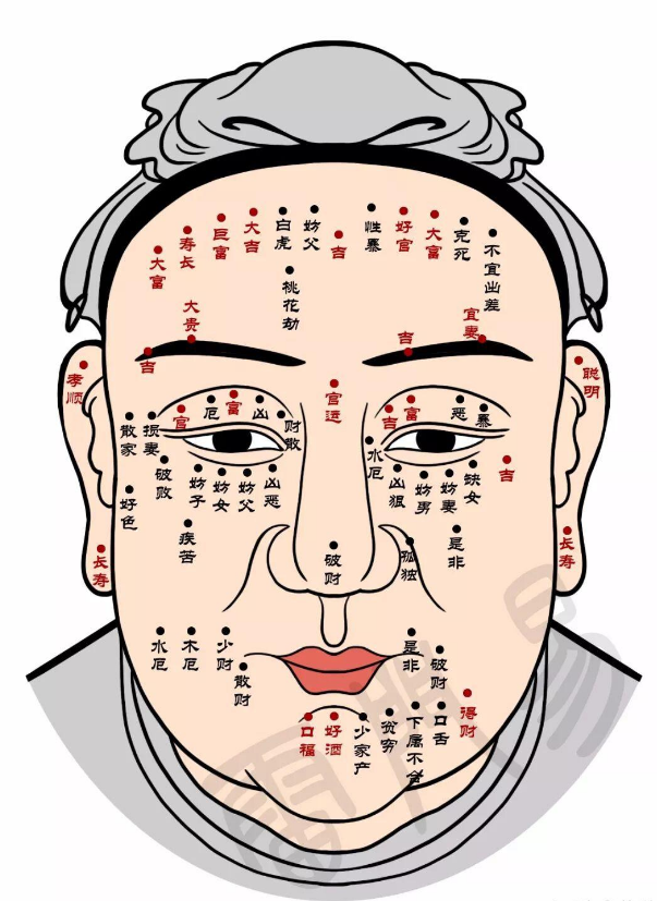 面相自查干货---【额,眼,鼻,唇,耳篇】