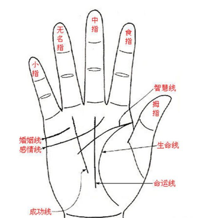 重要手纹图解