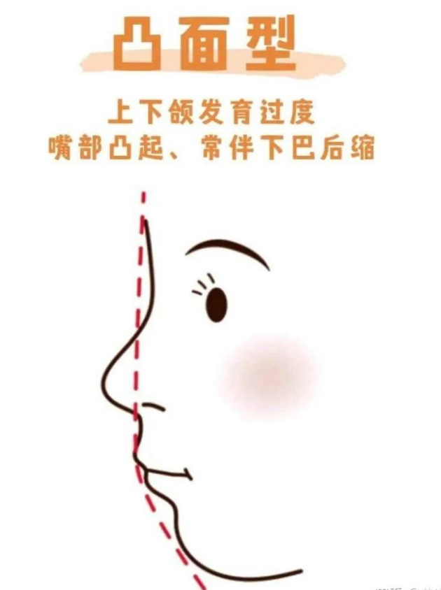 《面相》之脸型