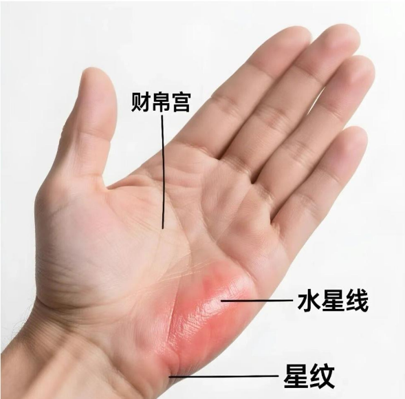有横财命的手相特征