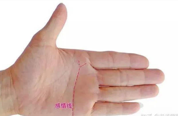 手相图解大全，教你手相看运程！