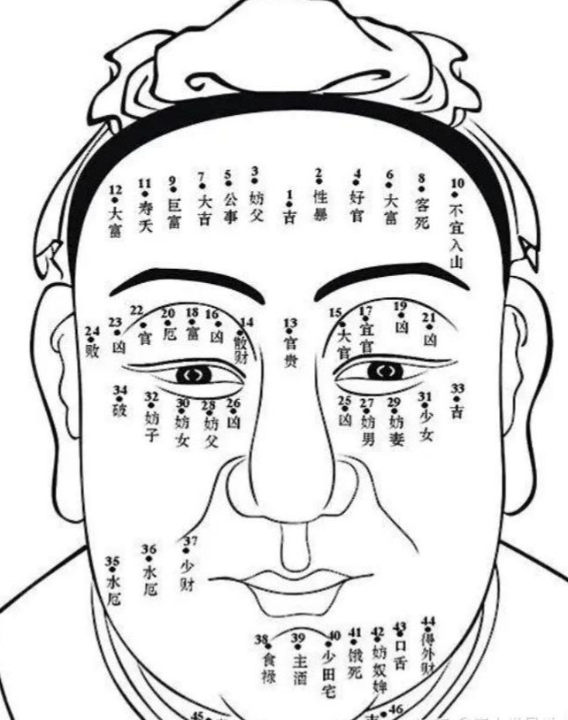 看面相速成技法100招